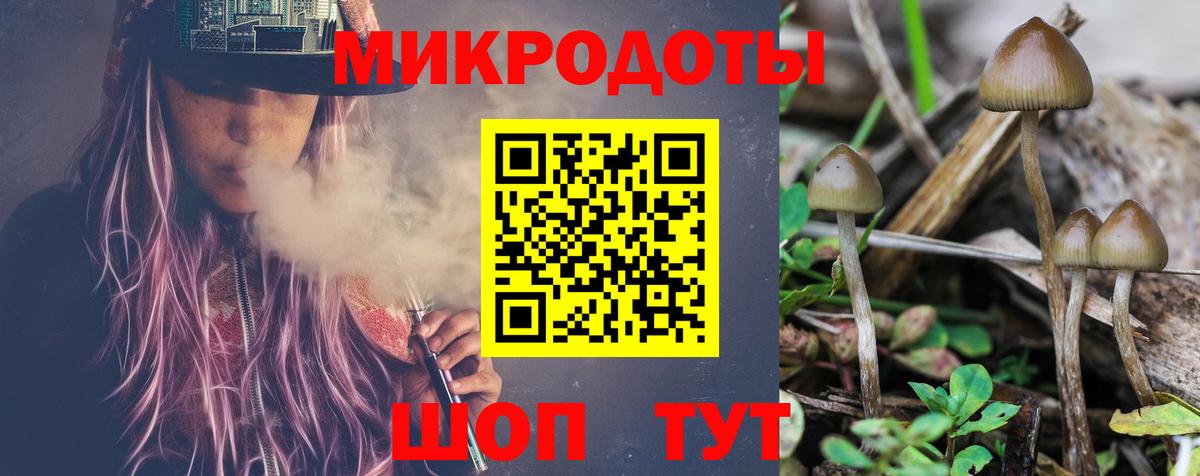 Псилоцибиновые грибы GOLDEN TEACHER  Псилоцибиновые грибы GOLDEN TEACHER  Вход с VPN  Кимовск 
