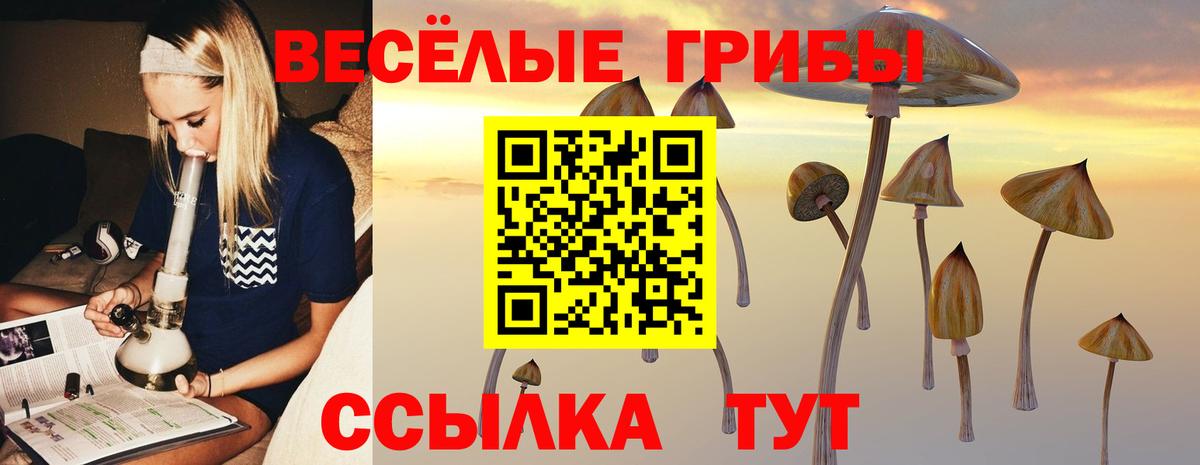 Галлюциногенные грибы прущие грибы Кимовск